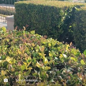 Meet your Posher, Johana